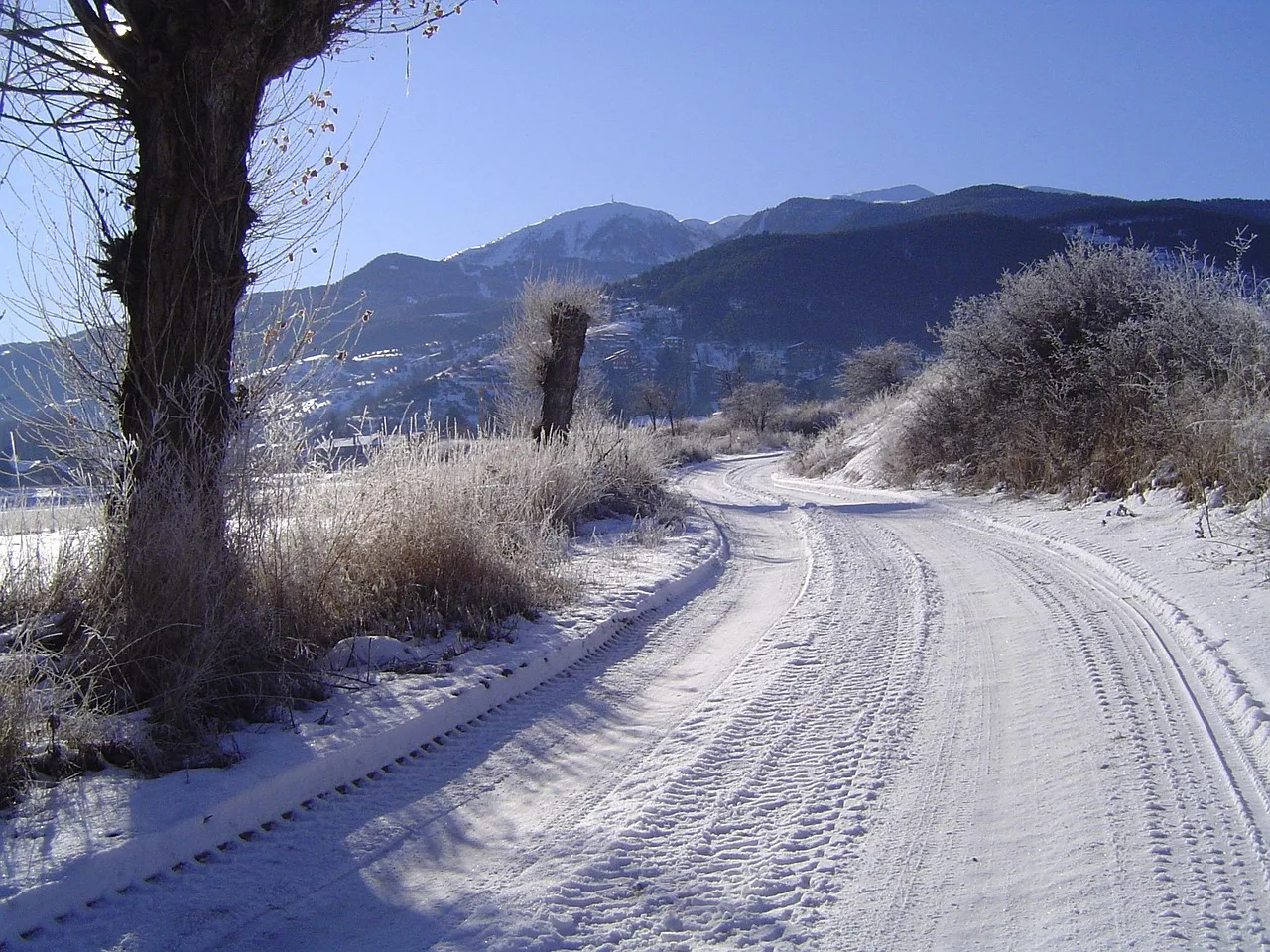 Camino nevado en la Cerdanya, con los árboles helados y la sierra al fondo