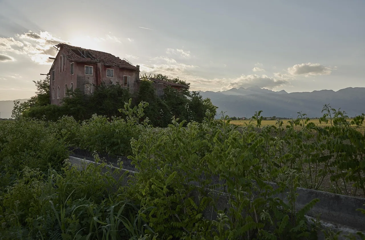 Casa de campo abandonada, con el tejado hundido y la maleza cubriendo la fachada, y montañas al fondo